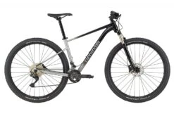 Cannondale Trail SL 4