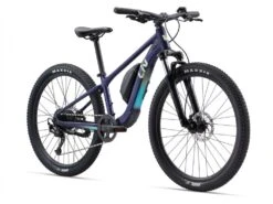 Liv Tempt E+ 26 -Giant Store 78583 liv tempt e 26