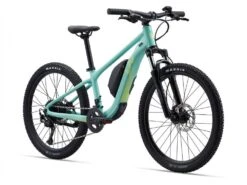 Liv Tempt E+ 24 10 Liv Tempt E+ 24 -Giant Store 78602 liv tempt e 24