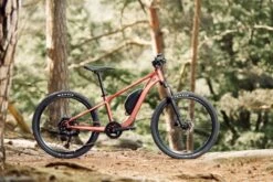 Giant Talon E+ 24 11 Giant Talon E+ 24 -Giant Store 78609 giant talon e 24