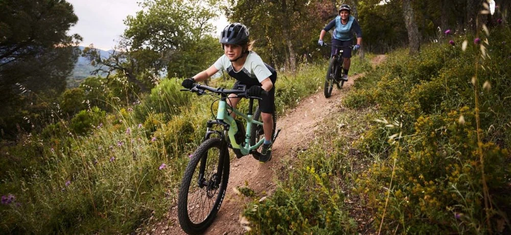 Liv Tempt E+ 24 7 Liv Tempt E+ 24 - Image 5