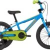 Cannondale Trail 16" Boys FW -Giant Store c dale trail 16 boys fw 21